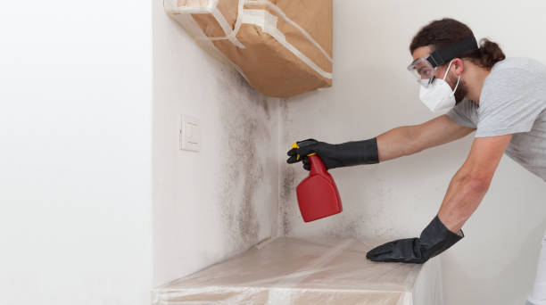 Professional Mold Cleanup technician working in Kearny, NJ