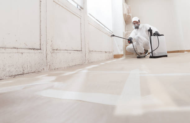 24/7 Emergency Mold Cleanup experts in Kearny, NJ