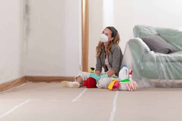 Reliable Mold Cleanup contractor in Kearny, NJ by Cheap Mold Removal